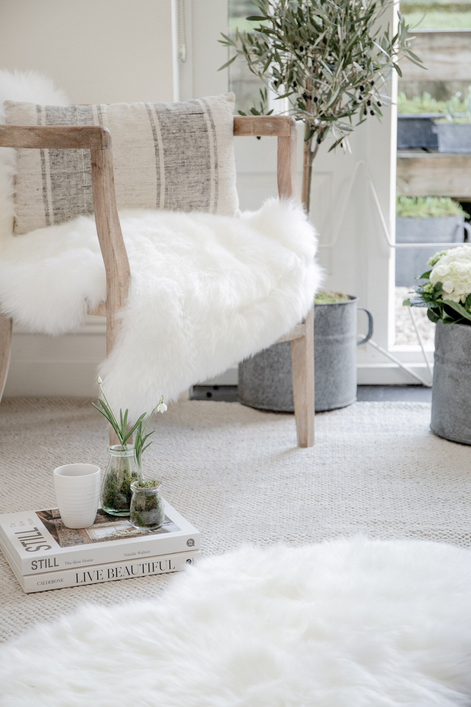 Medium- Single Long Wool Sheepskin Rug