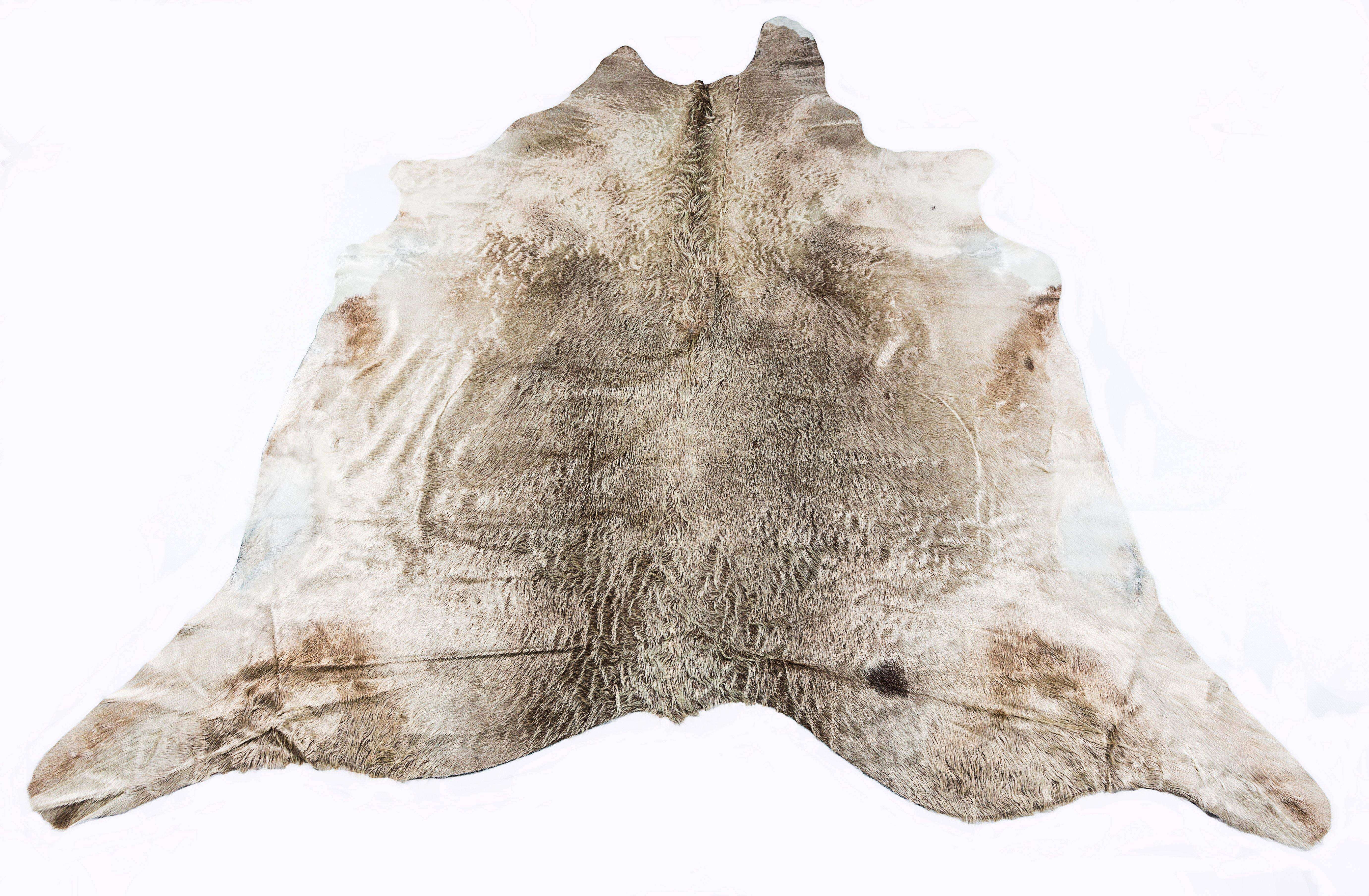 Cow Rug Light Cafe, Ugg Boots Australia, Ugg Australia, Ugg Boots, Koalabi Ugg Boots, Koalabi